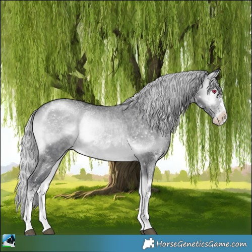 Horse Color:Silver Brown Chinchilla Onyx Sabino Rabicano 