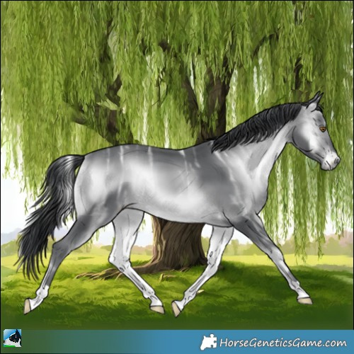 Horse Color:Brown Chinchilla Ice Onyx 