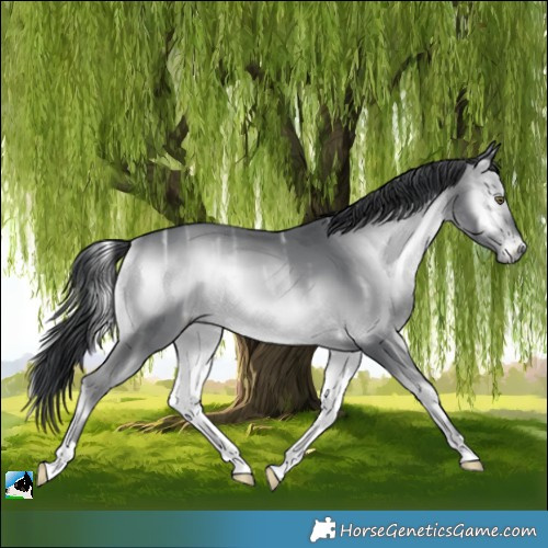 Horse Color:Brown Chinchilla Ice Onyx