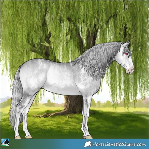 Horse Color:Silver Brown Chinchilla Ice Onyx Sabino Rabicano