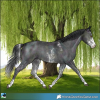 Horse Color:Midnight Brown Chinchilla Onyx Sabino