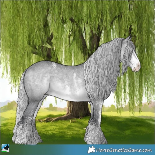 Horse Color:Silver Brown Chinchilla Sabino Rabicano 