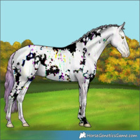 Horse Color:Nacre Watercolor White Spotted Brown Ice Pearl Dun