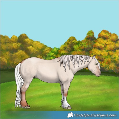 Horse Color:Silver Sable Champagne Dun Mushroom Tobiano Rabicano 