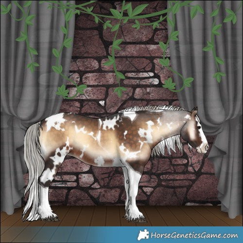 Horse Color:White Spotted Silver Brown Onyx Splash Tobiano Rabicano 