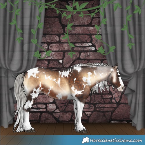 Horse Color:White Spotted Silver Brown Onyx Splash Tobiano Rabicano 