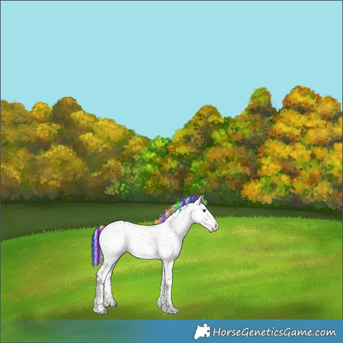 Horse Color:Painted Watercolor Silver Brown Chinchilla Sabino Rabicano 