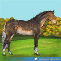 Horse Color:Silver Buckskin Tobiano Rabicano