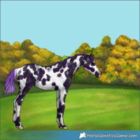 Horse Color:Watercolor Midnight Black Ice Splash Tobiano 