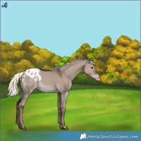 Horse Color:Liver Red Dun Mushroom Blanket 