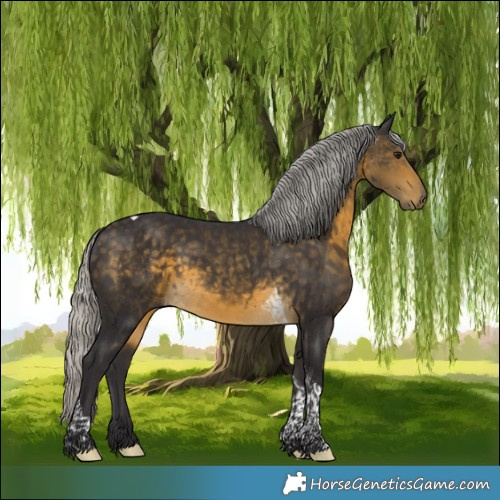 Horse Color:Silver Buckskin Tobiano 