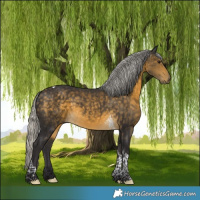 Horse Color:Silver Buckskin Tobiano 