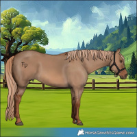 Horse Color:Red Dun 