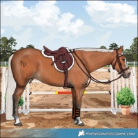 Horse Color:Silver Bay 