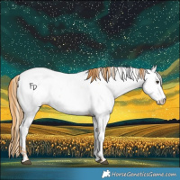 Horse Color:Red Roan Fewspot 