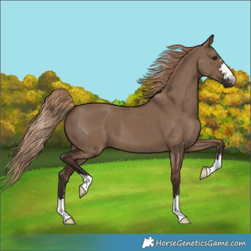Horse Color:Liver Red Dun 