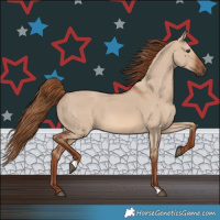 Horse Color:Red Dun