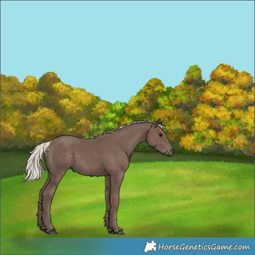Horse Color:Silver Black 