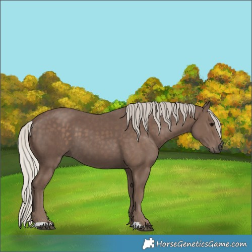 Horse Color:Silver Black 