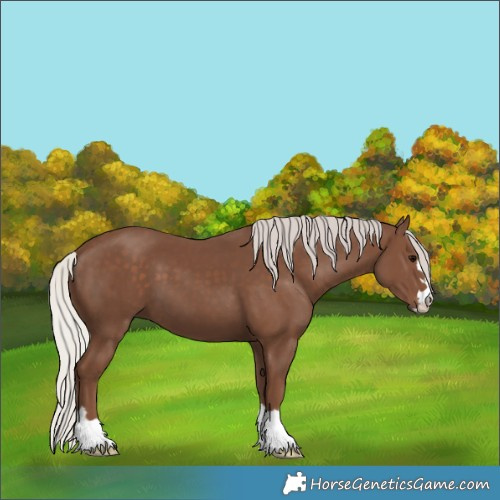 Horse Color:Silver Black 