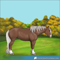 Horse Color:Silver Black 