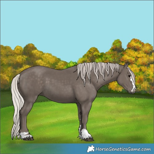 Horse Color:Silver Black 