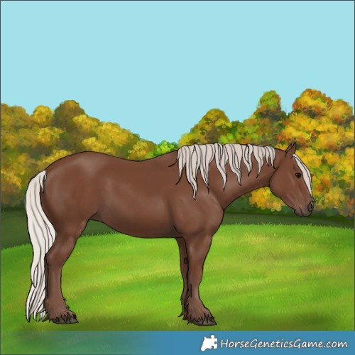 Horse Color:Silver Black 