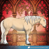 Horse Color:Palomino Tobiano 