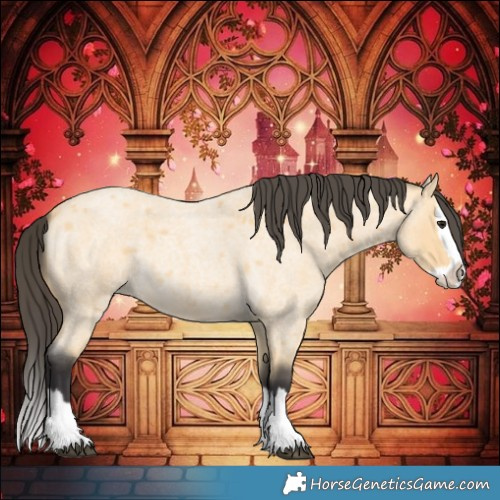 Horse Color:Buckskin Roan Splash 