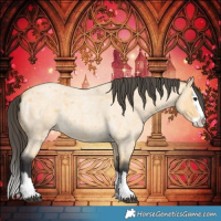 Horse Color:Buckskin Roan Splash