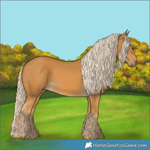 Horse Color:Palomino 