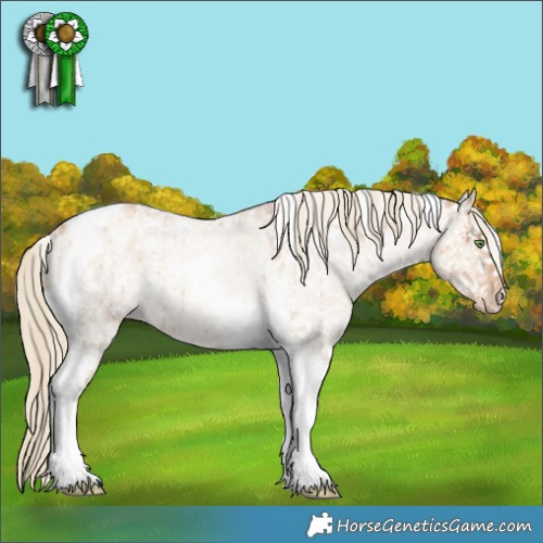 Horse Color:Gold Champagne Roan Dun Tobiano Appaloosa Rabicano Brindle