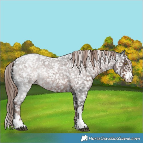 Horse Color:Liver Red Roan Sabino Snowflake VarnishRabicano 