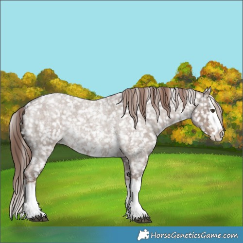 Horse Color:Liver Red Dun Roan Sabino Splash Snowflake VarnishRabicano 
