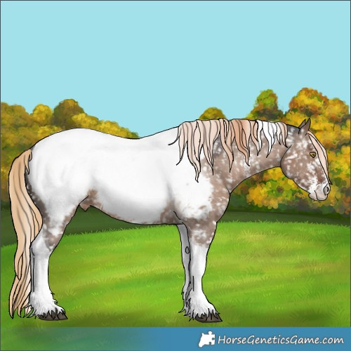 Horse Color:Liver Red Dun Sabino Tobiano Near Fewspot Rabicano 