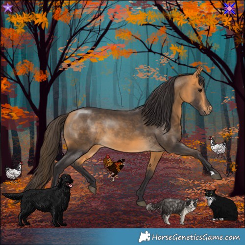 Horse Color:Buckskin