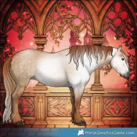 Horse Color:Gray Red Dun 