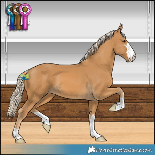 Horse Color:Palomino 