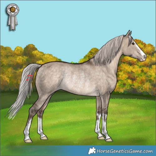 Horse Color:Silver Brown Dun Varnish Rabicano 