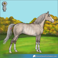 Horse Color:Silver Brown Dun Varnish Rabicano 