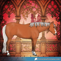 Horse Color:Silver Bay 