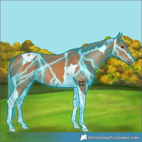 Horse Color:Thunderstruck Chestnut Tobiano