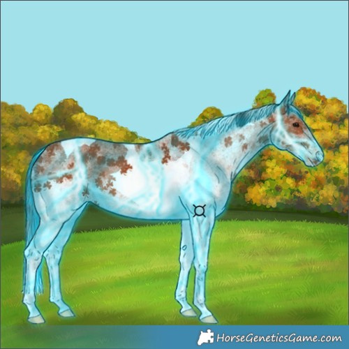 Horse Color:Thunderstruck White Spotted Bay Tobiano 
