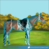 Horse Color:Void Thunderstruck Bay Tobiano 