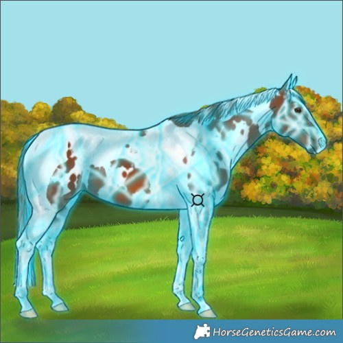 Horse Color:Thunderstruck White Spotted Chestnut Tobiano 