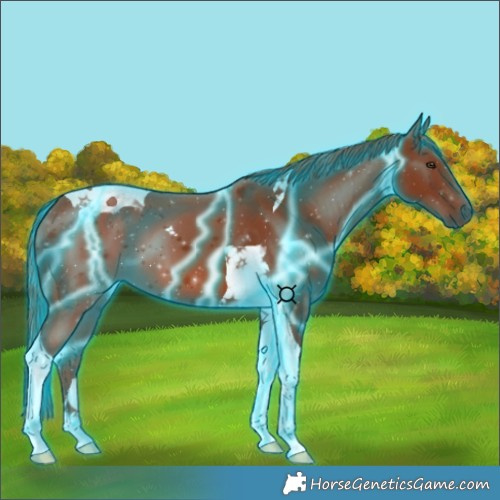 Horse Color:Thunderstruck Chestnut Tobiano 