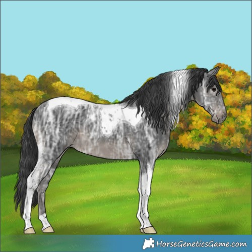 Horse Color:Black Ice Tobiano 
