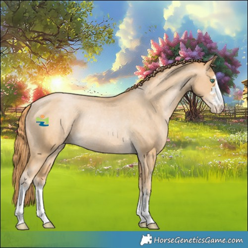 Horse Color:Smoky Black Pearl Appaloosa Rabicano 