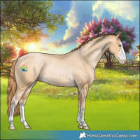 Horse Color:Smoky Black Pearl Appaloosa Rabicano