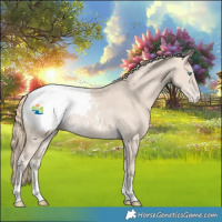 Horse Color:Smoky Creme Snowcap Rabicano 